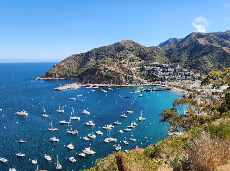 Submarine & Land Tours -Catalina Adventure Tours