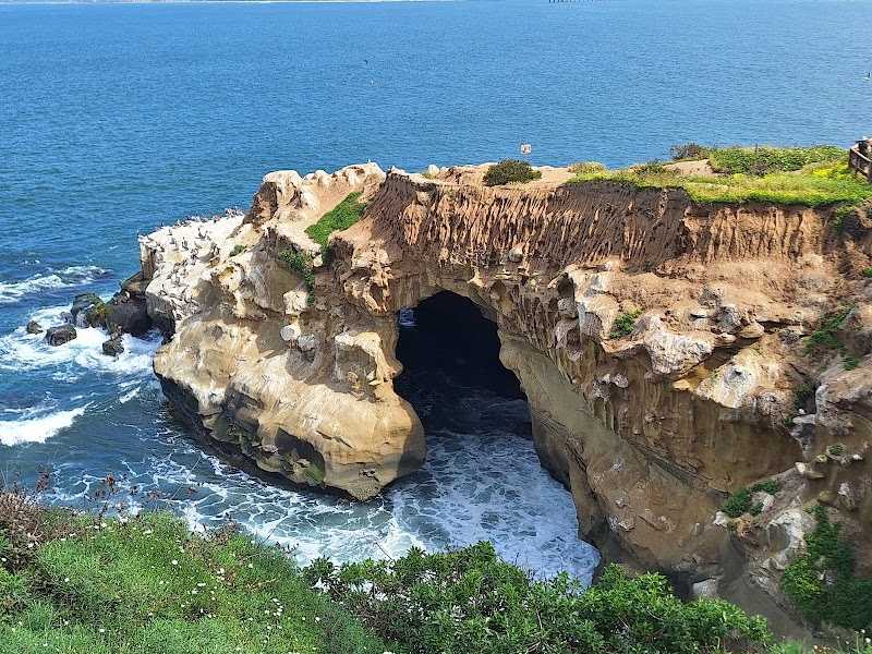 Sunny Jim's Sea Cave