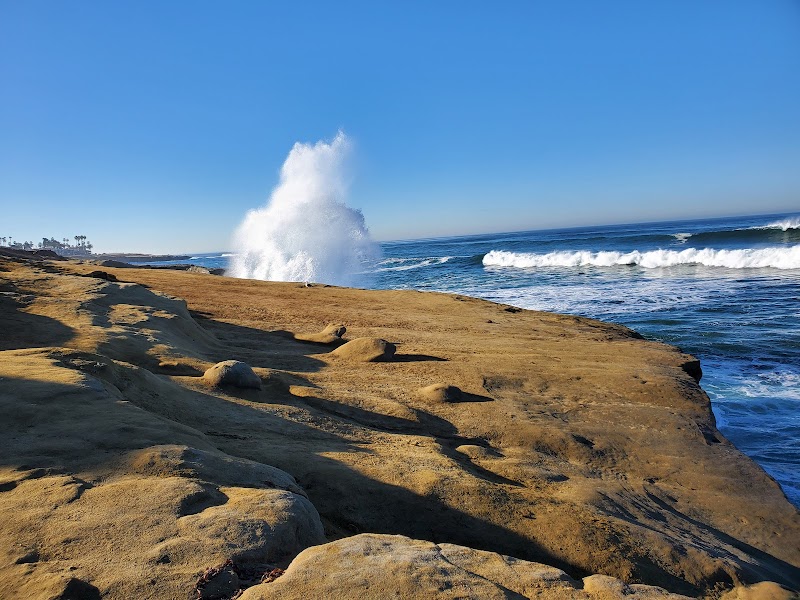 Sunset Cliffs