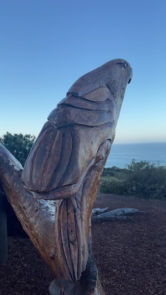 Sunset Seat