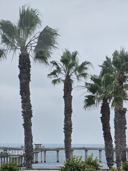 Surf Camp San Diego