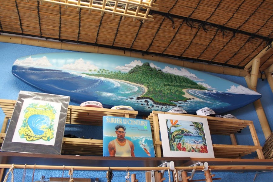 Surfari Surf Shop-San Diego