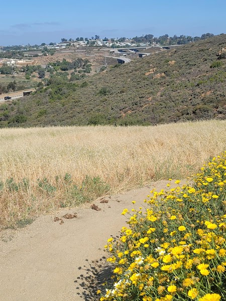 Sweetwater - Hiking Trail