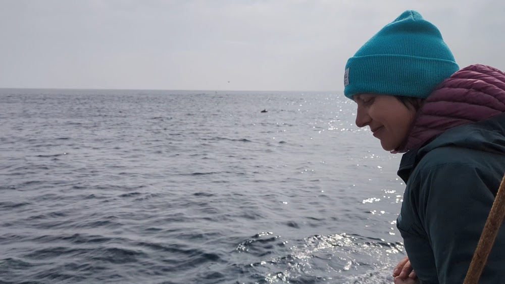 Tailwalker Whale & Dolphin Adventures