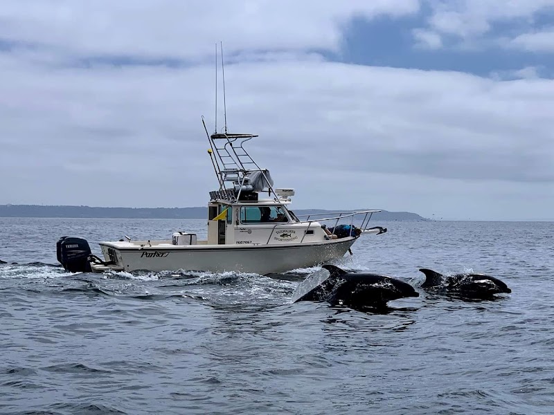 Tailwalker Whale & Dolphin Adventures