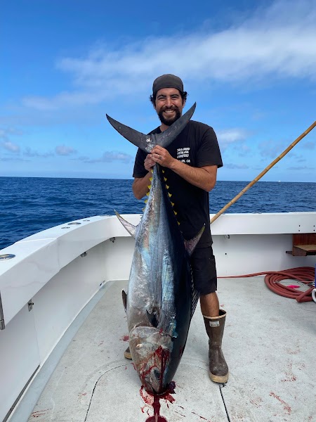 Taylored Catalina Charters