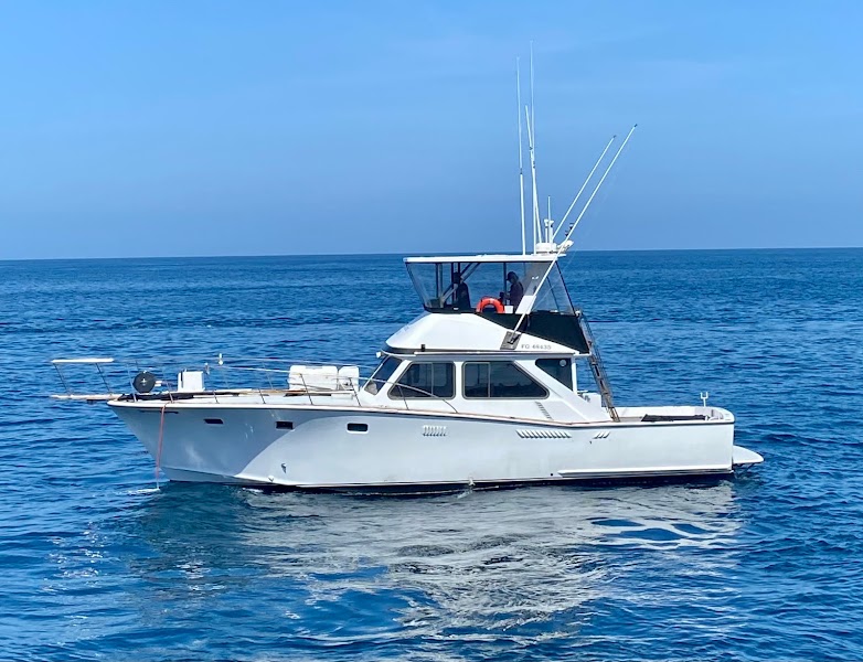 Taylored Catalina Charters
