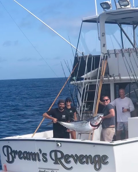 Taylored Catalina Charters