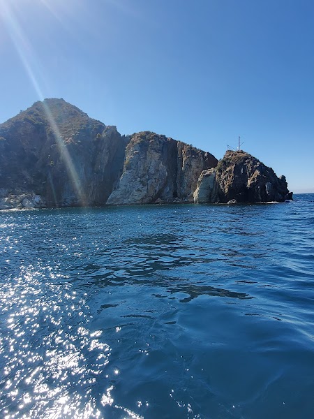 Taylored Catalina Charters