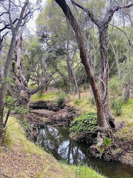 Tecolote Canyon Hiking Area