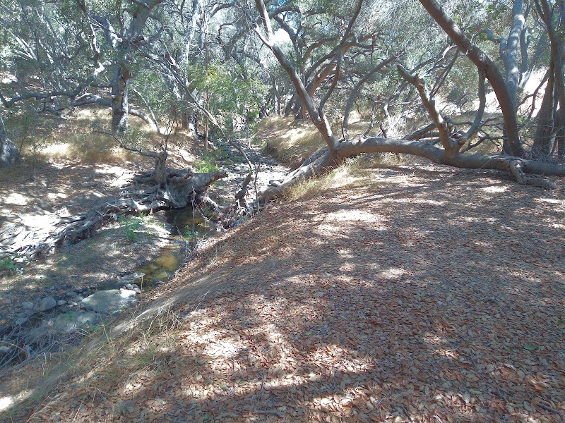 Tecolote Canyon Hiking Area