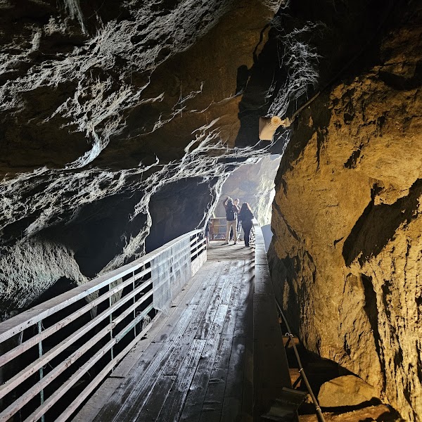 The Cave Store