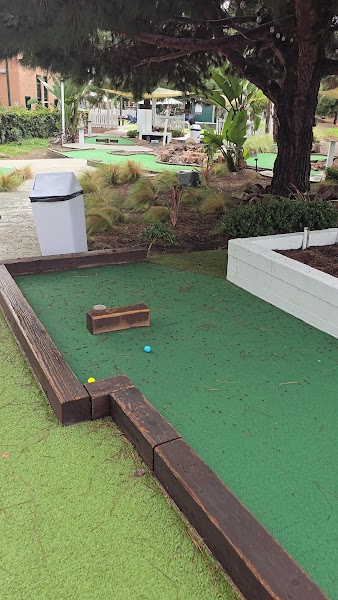 The Loma Club