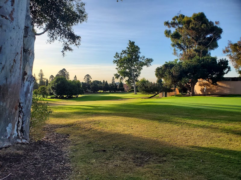 The Loma Club