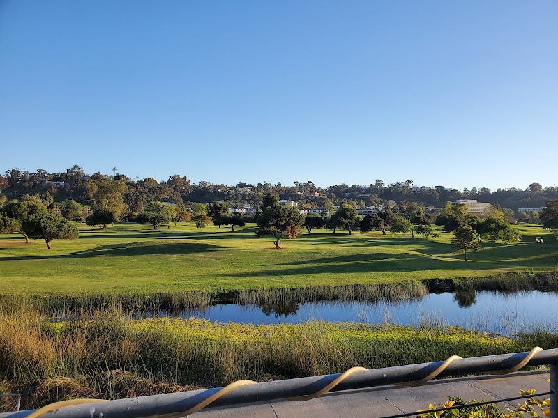 The Loma Club