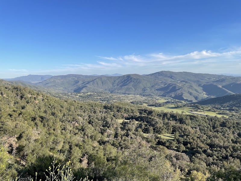 The Lookout
