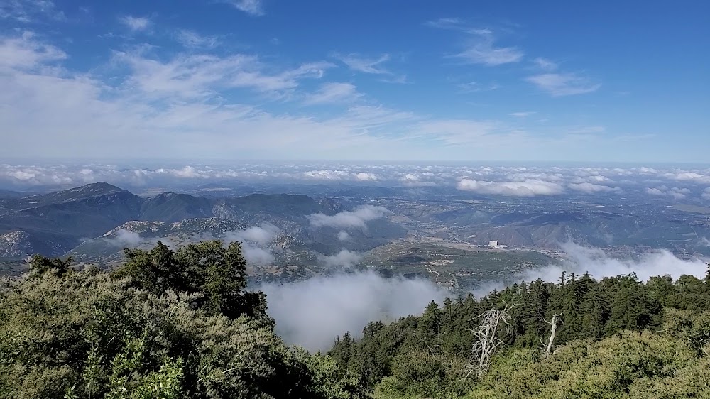 The Lookout