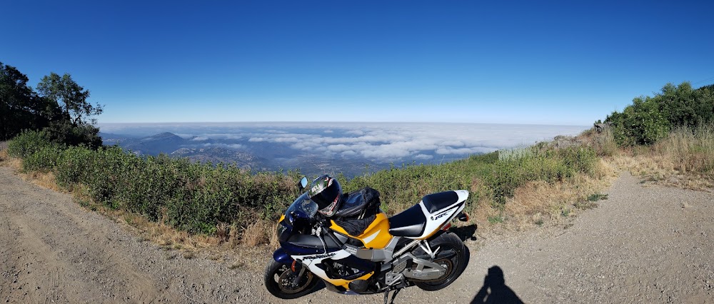 The Lookout