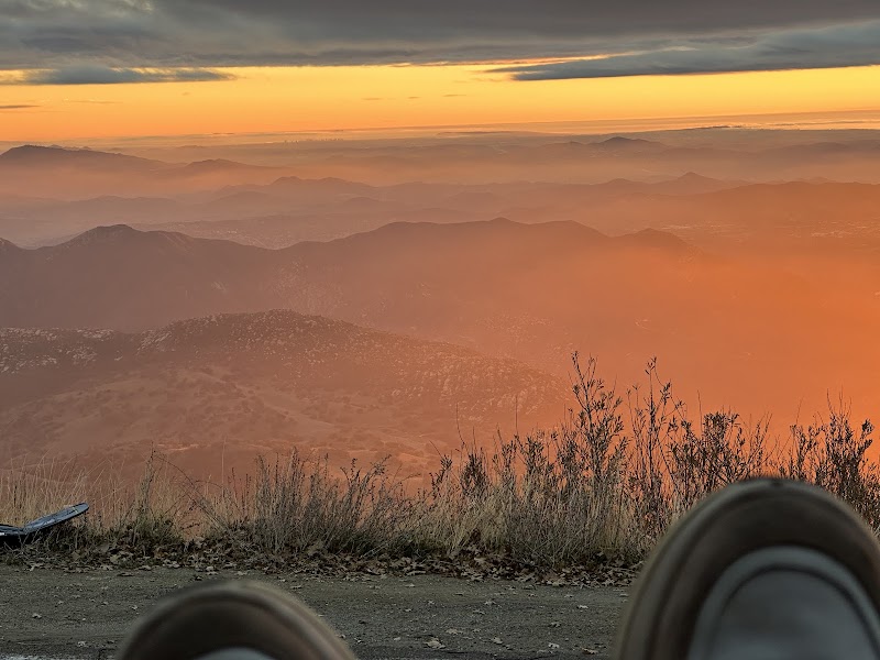 The Lookout