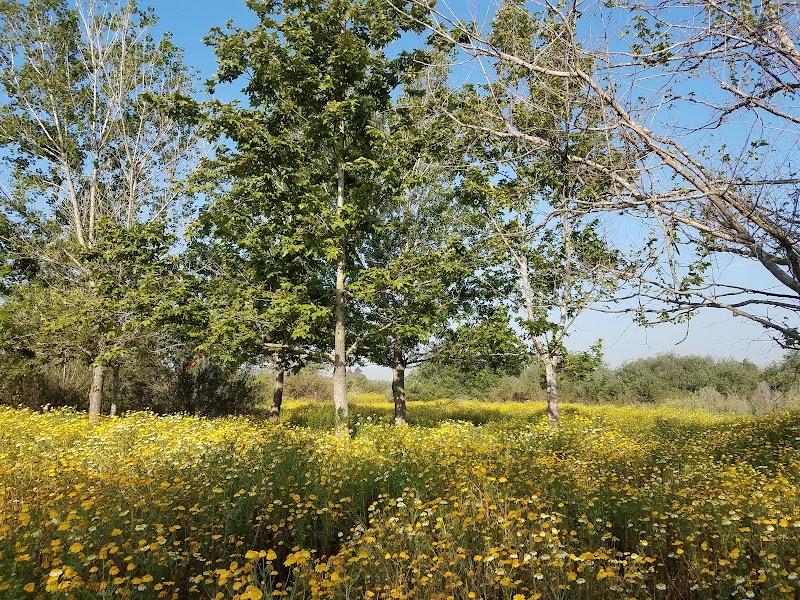 Tijuana River Valley Regional Park