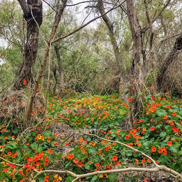 Tijuana River Valley Regional Park