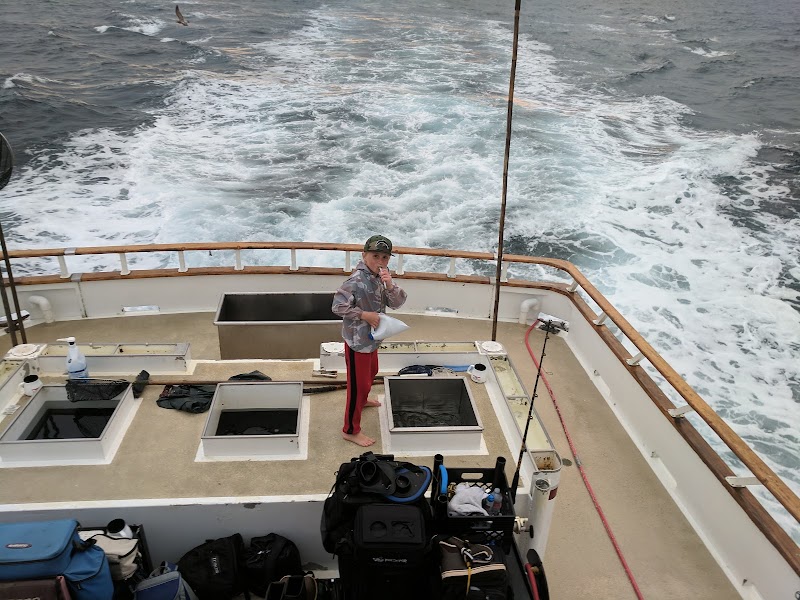 Tomahawk Sportfishing