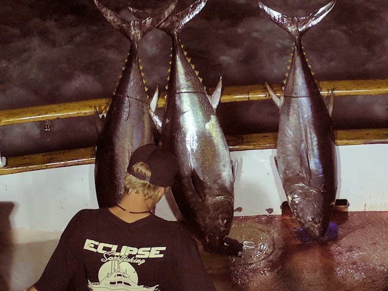 Tomahawk Sportfishing