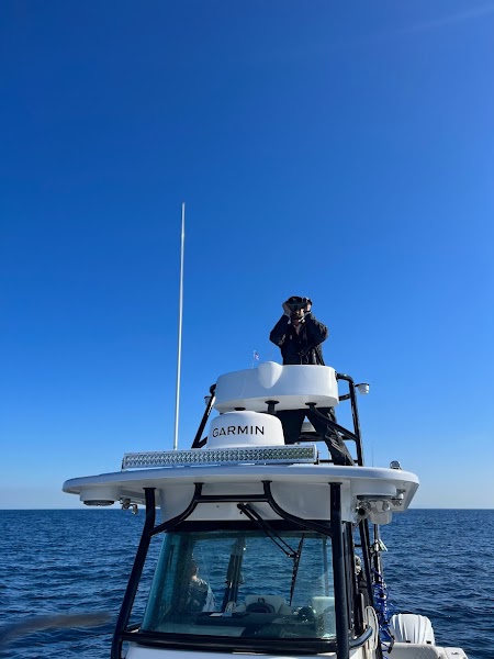 Torqued Sportfishing