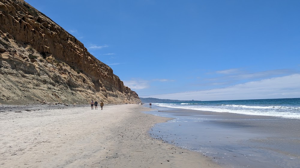 Torrey Pines