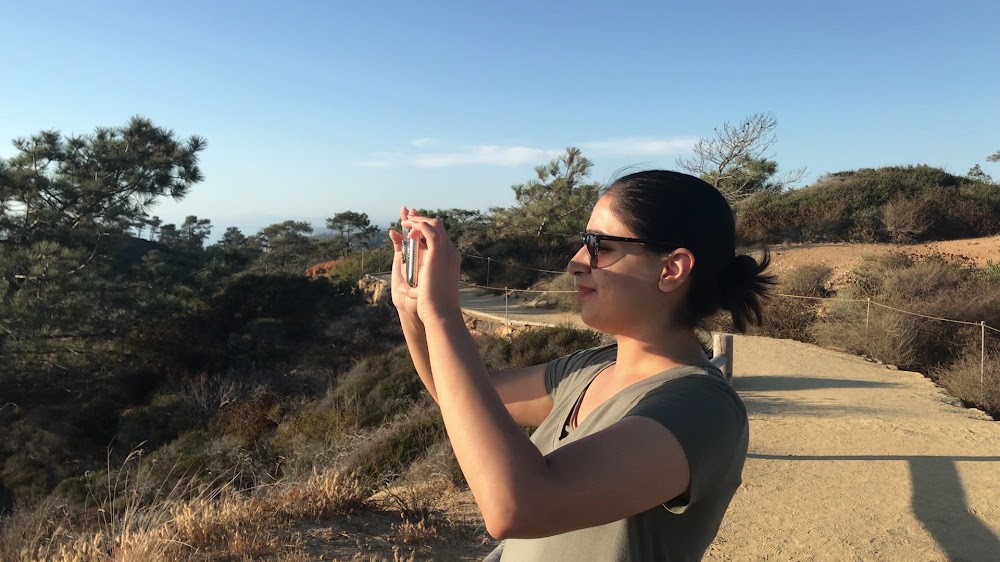 Torrey Pines