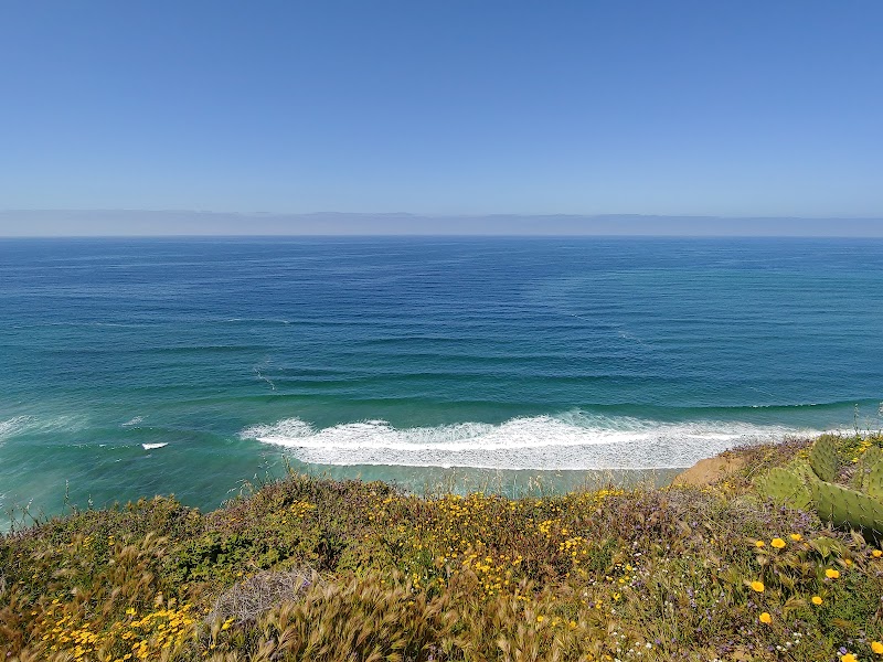 Torrey Pines