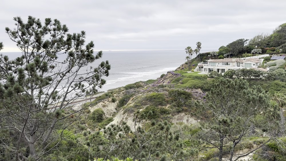 Torrey Pines