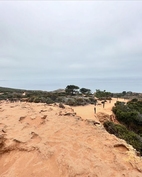 Torrey Pines