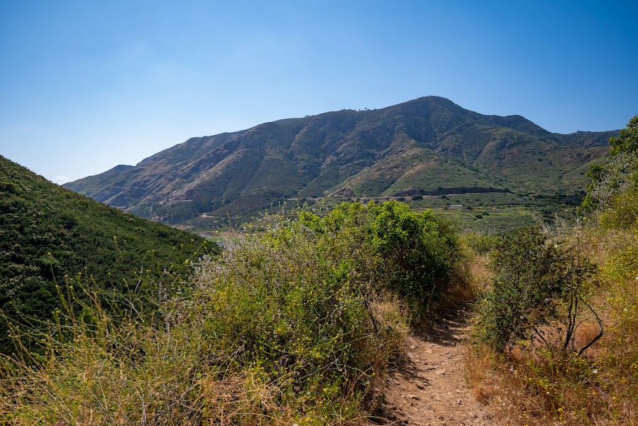 Turtle Head Trail head