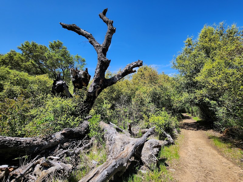 Turtle Head Trail head