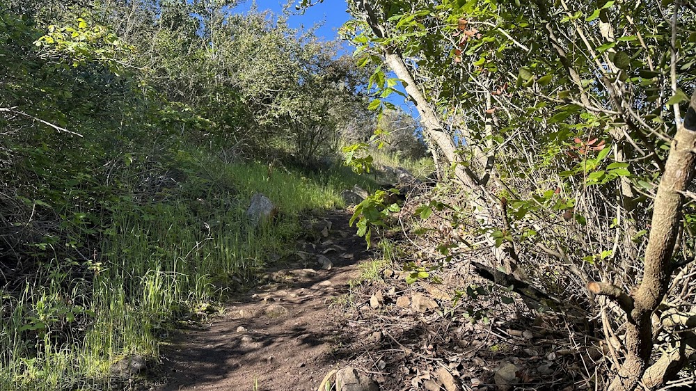 Turtle Head Trail head