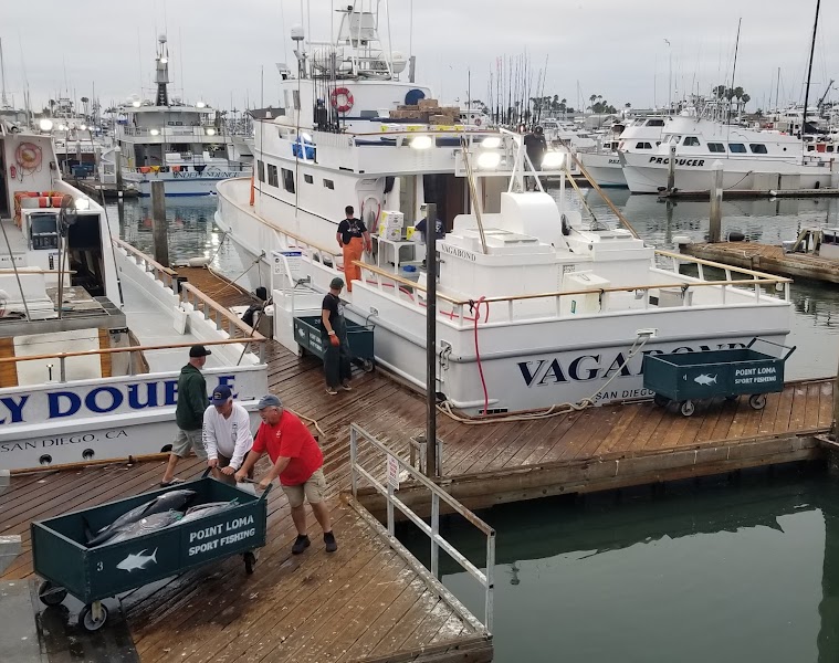 Vagabond Sportfishing