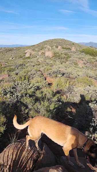 Viejas Mountain Trailhead