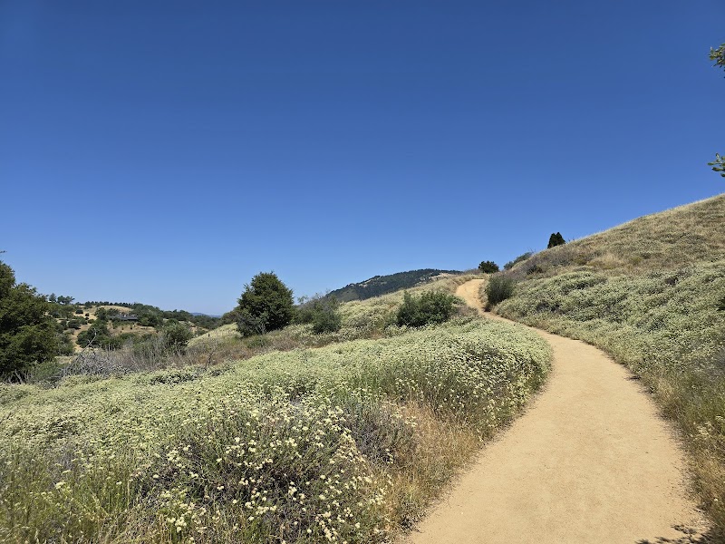 Volcan Mountain Trailhead