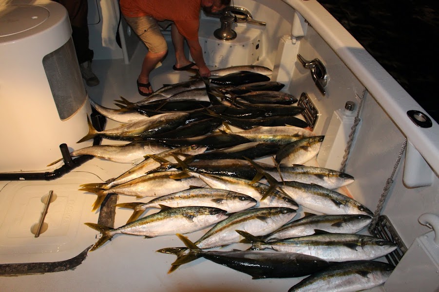 Voyager Yacht Charters