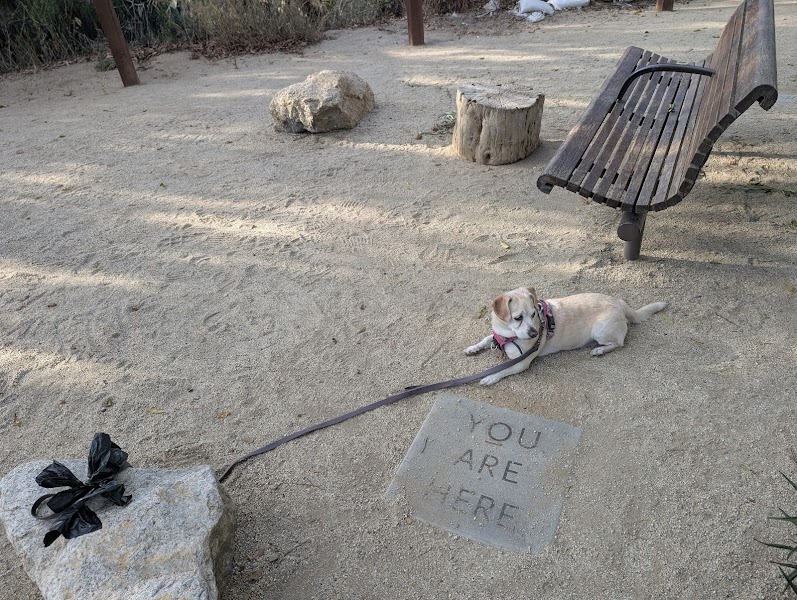 W Lewis St Park