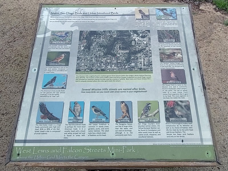 W Lewis St Park