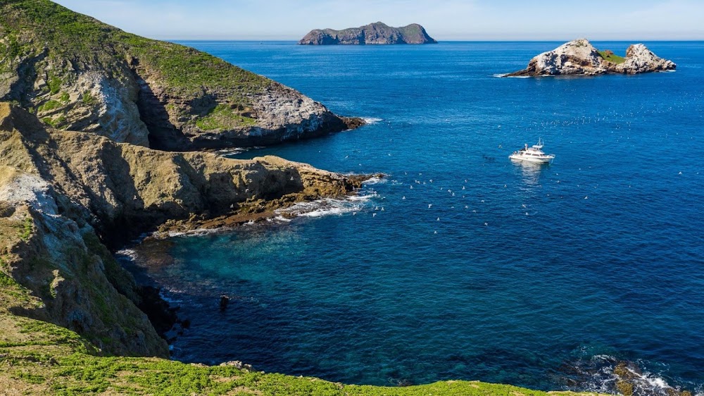 Waterhorse Charters