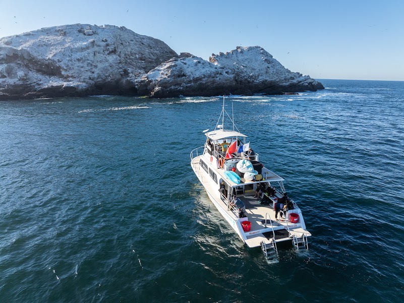 Waterhorse Charters