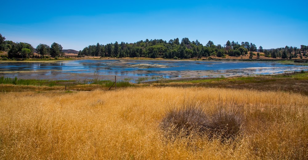 West Shore