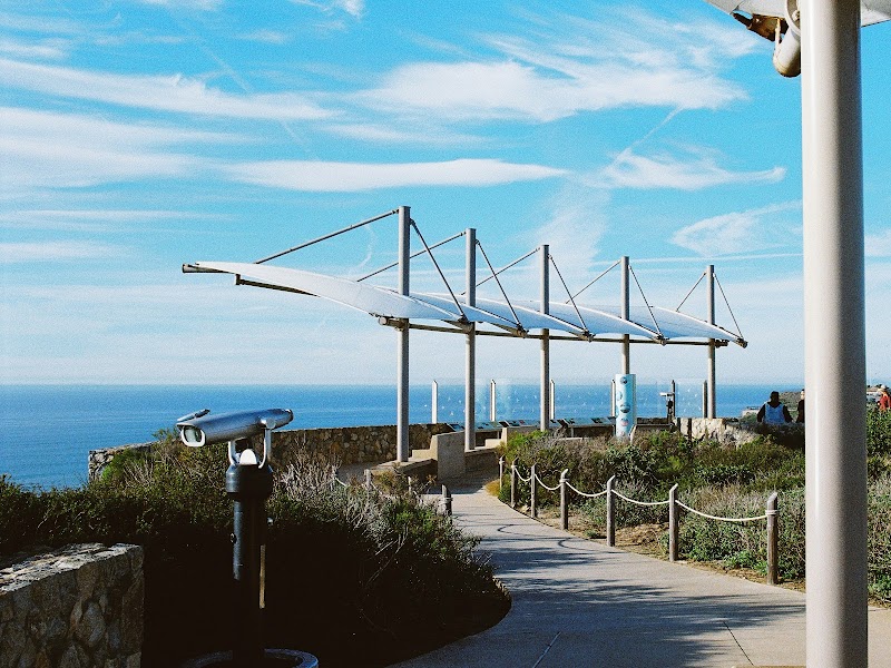 Whale Overlook