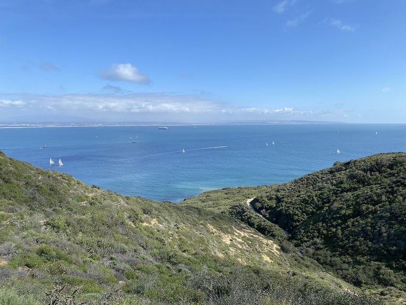 Whale Overlook