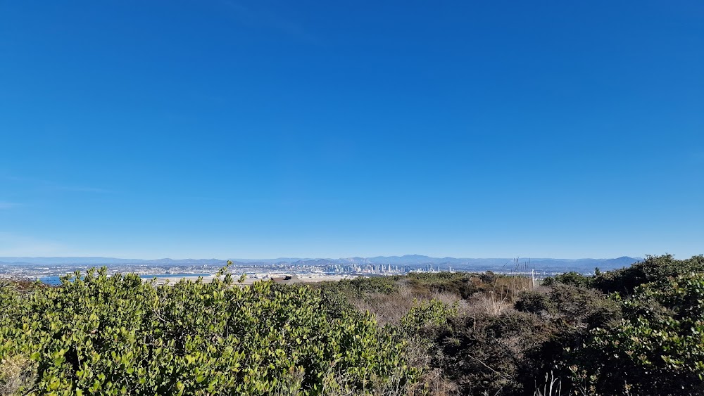 Whale Overlook