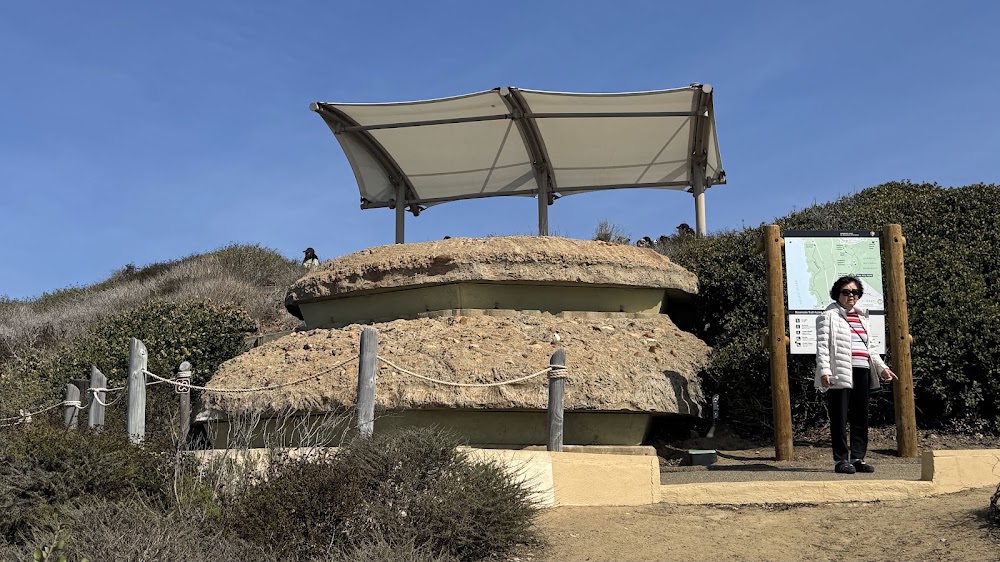 Whale Overlook