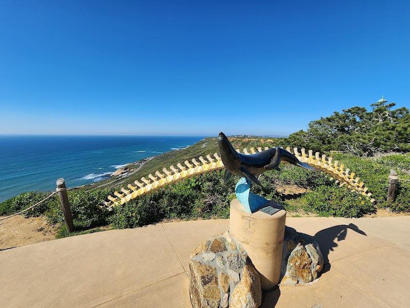 Whale Overlook